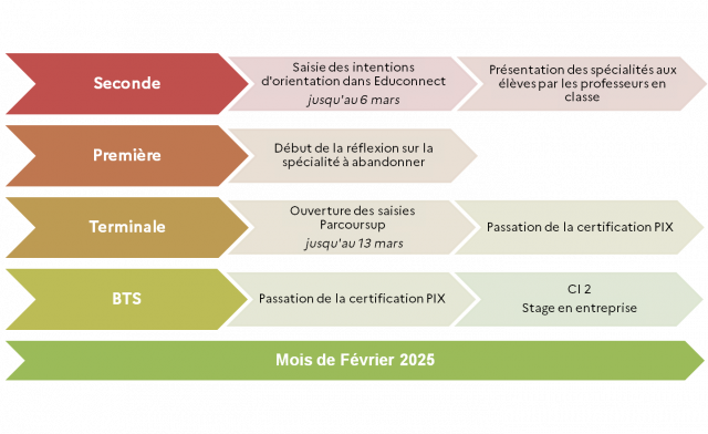 FEVRIER 2025